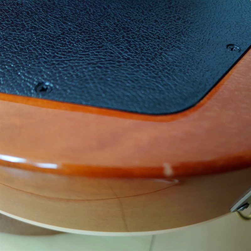 Gibson Les Paul Classic Gold Topの画像